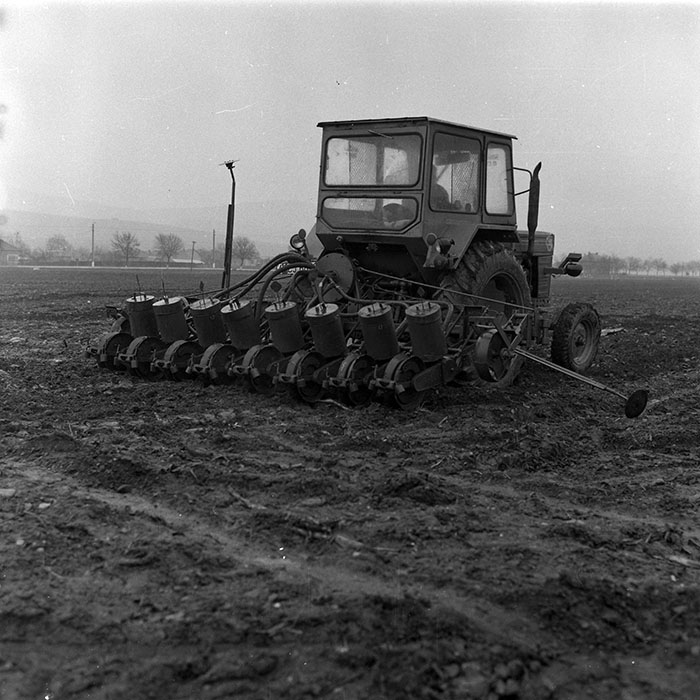 minerva_1988_agrar_c1r1_020