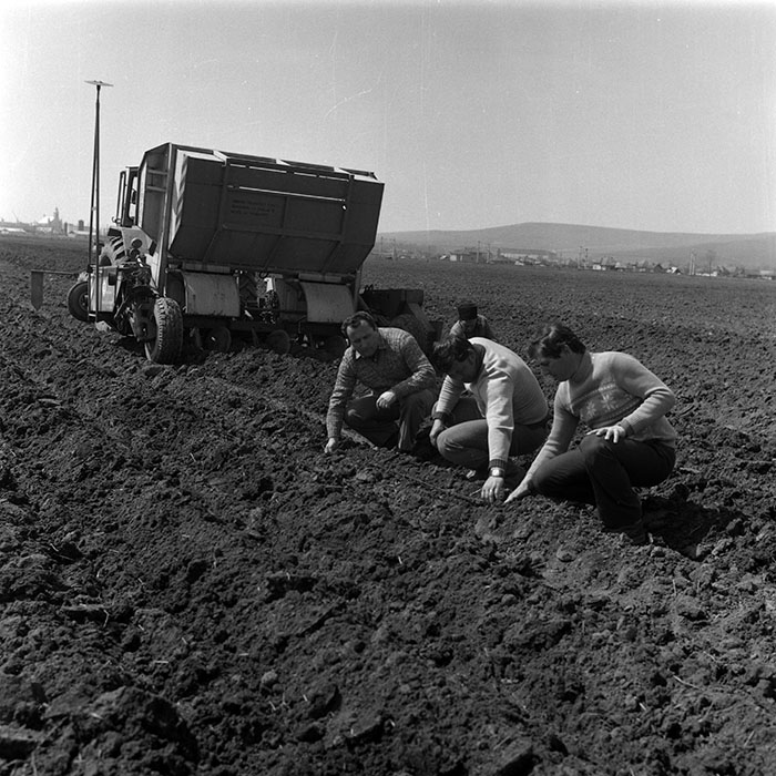 minerva_1988_agrar_c1r1_036