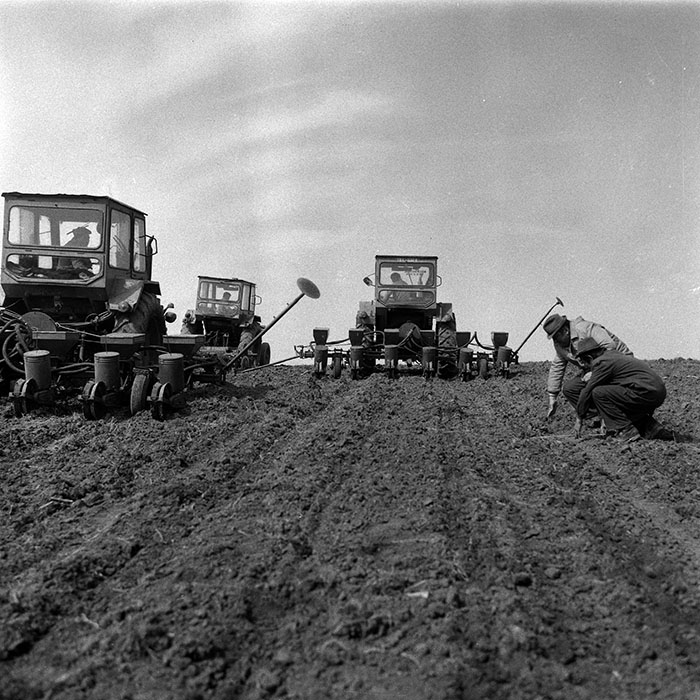 minerva_1988_agrar_c1r1_037