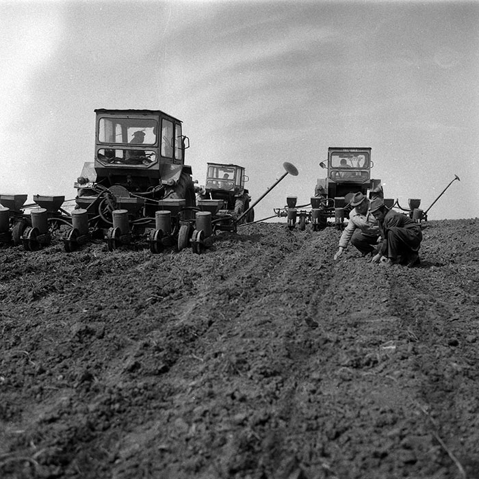 minerva_1988_agrar_c1r1_038