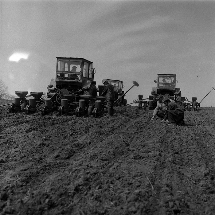 minerva_1988_agrar_c1r1_039