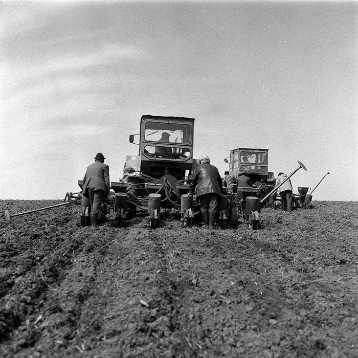 minerva_1988_agrar_c1r1_040