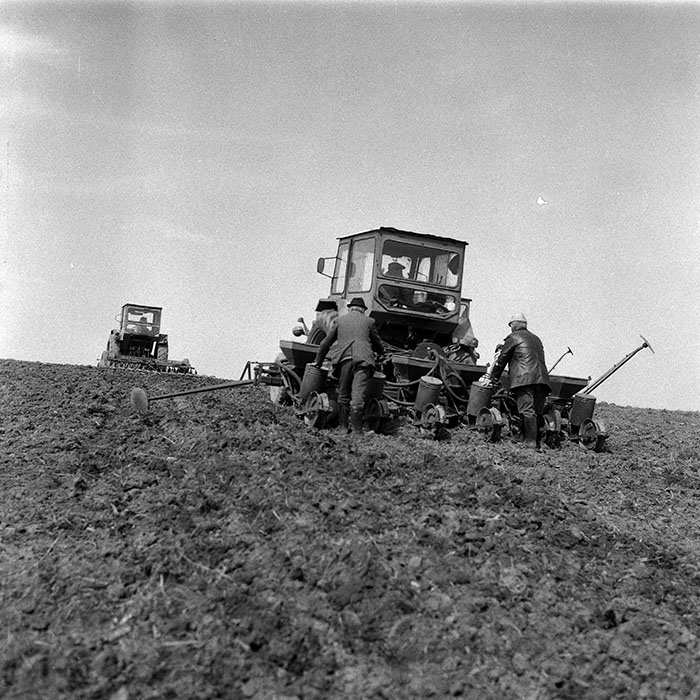 minerva_1988_agrar_c1r1_041