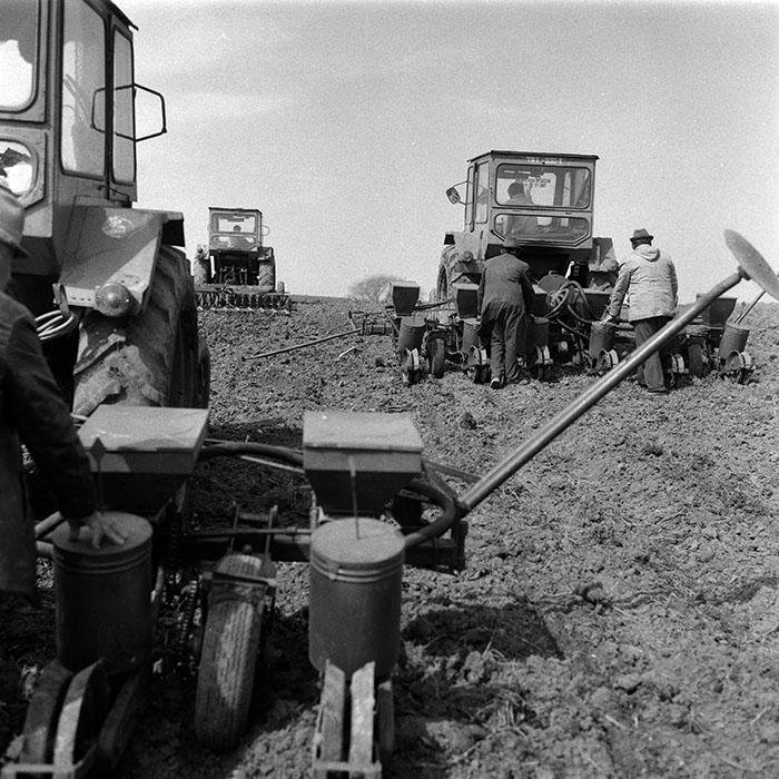 minerva_1988_agrar_c1r1_042