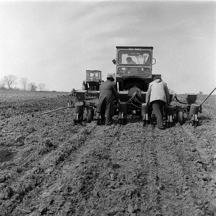 minerva_1988_agrar_c1r1_043