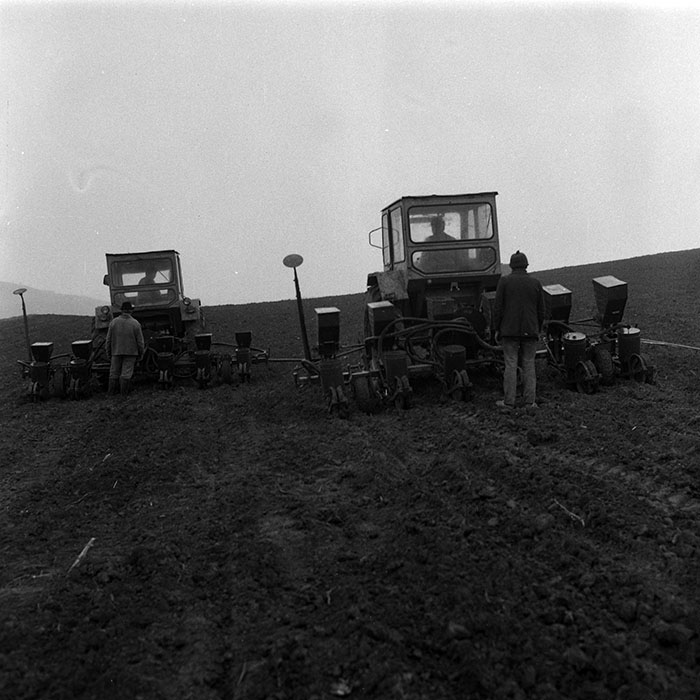 minerva_1988_agrar_c1r1_053