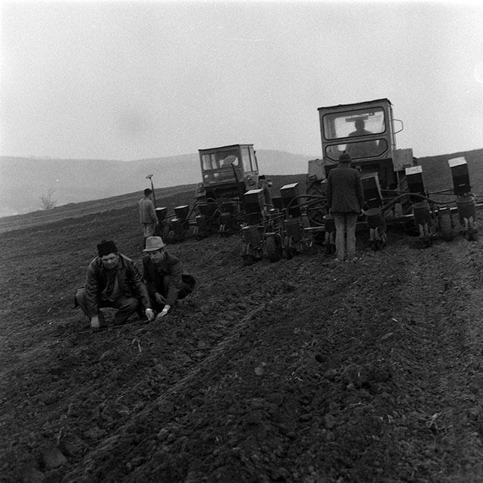 minerva_1988_agrar_c1r1_054