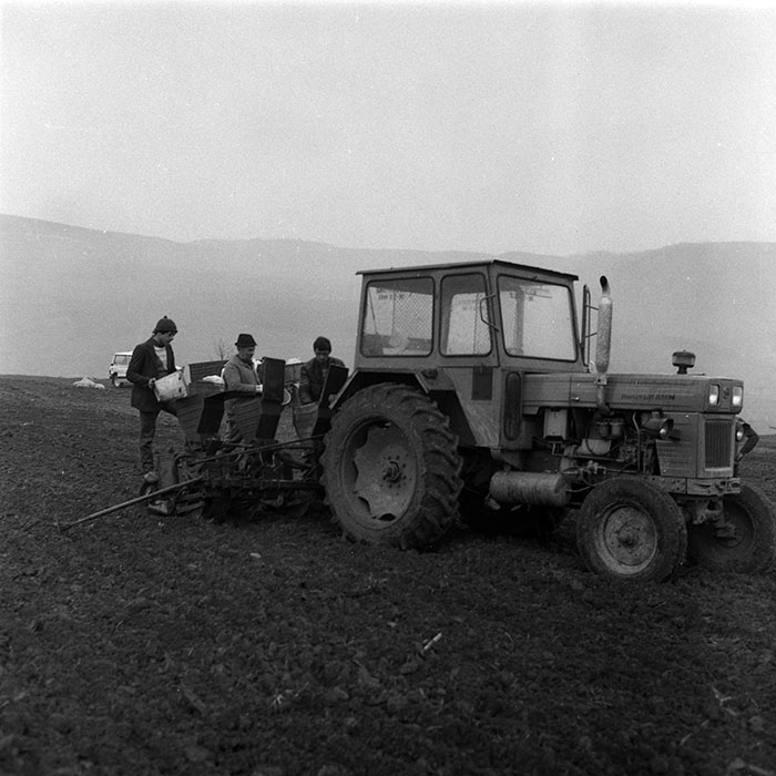 minerva_1988_agrar_c1r1_056