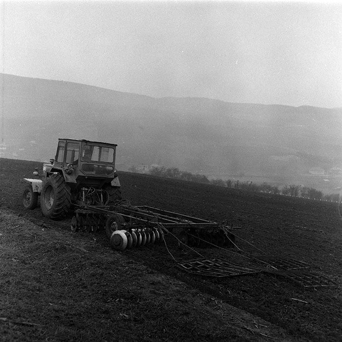 minerva_1988_agrar_c1r1_058