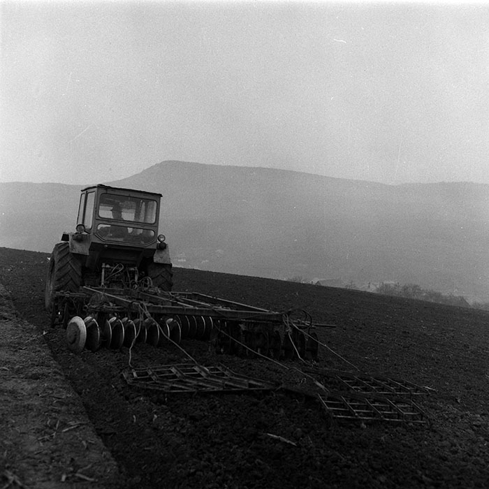 minerva_1988_agrar_c1r1_060