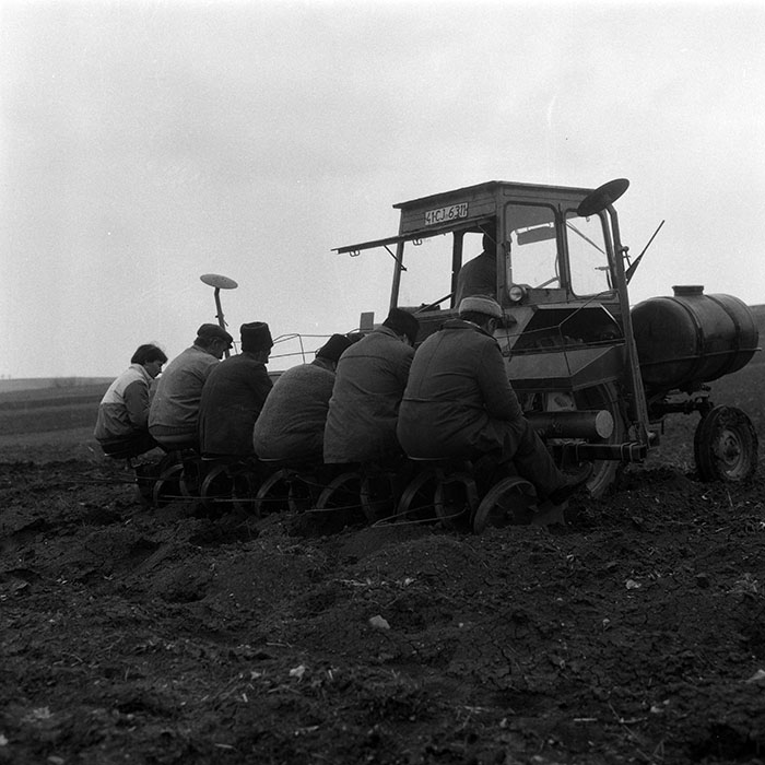 minerva_1988_agrar_c1r1_063