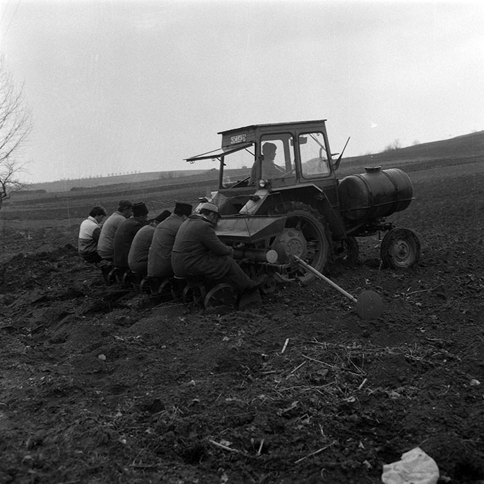 minerva_1988_agrar_c1r1_064