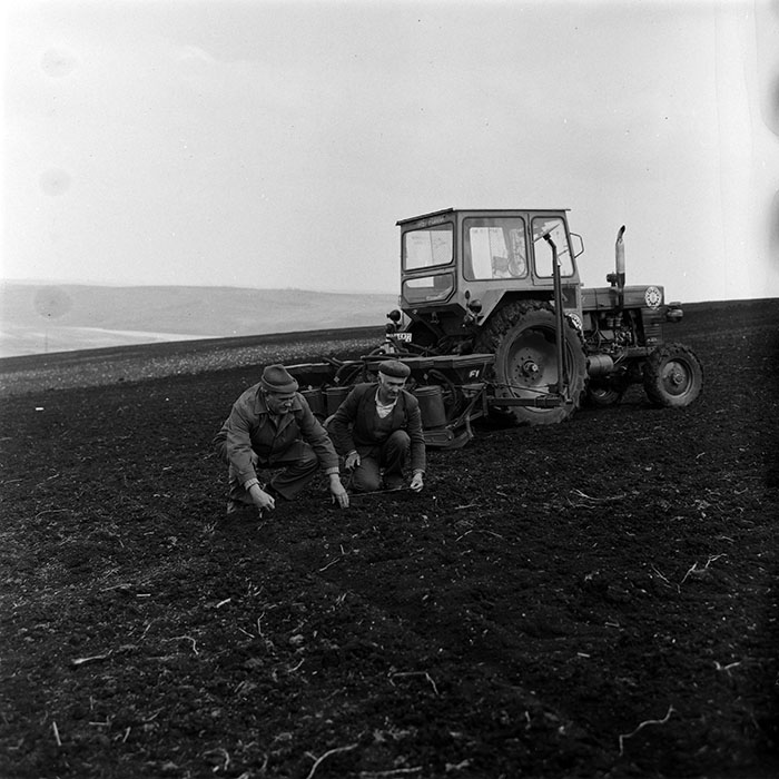 minerva_1988_agrar_c1r1_079