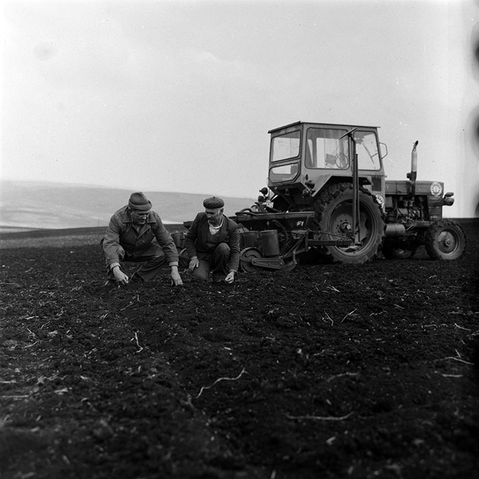 minerva_1988_agrar_c1r1_080