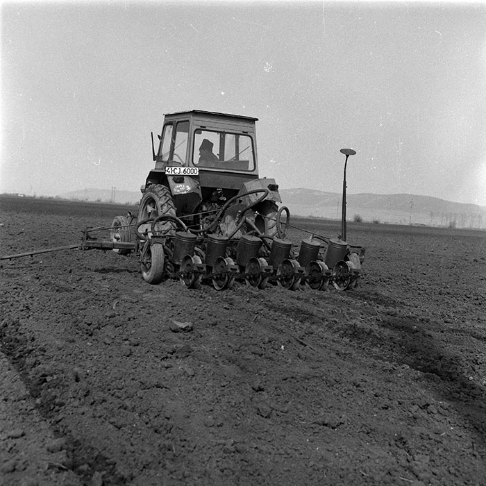 minerva_1988_agrar_c1r1_082