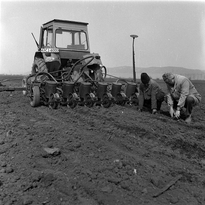 minerva_1988_agrar_c1r1_083