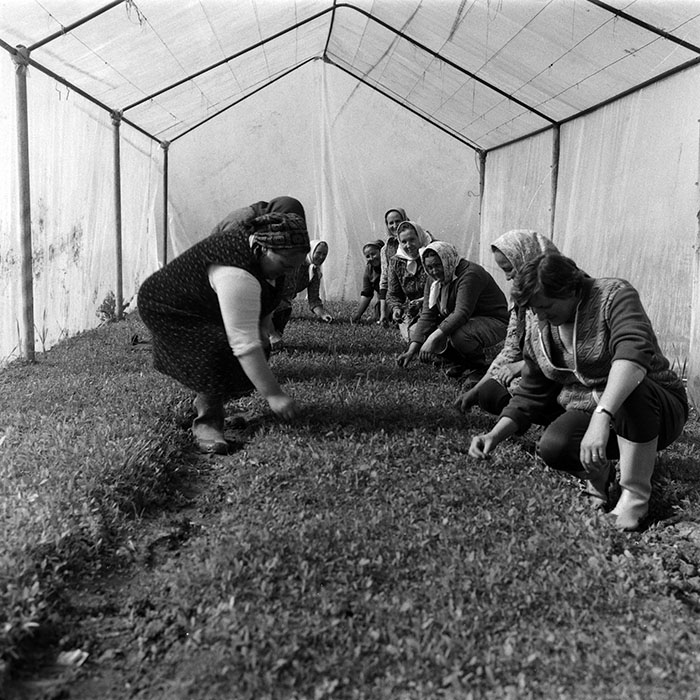 minerva_1988_agrar_c1r2_001