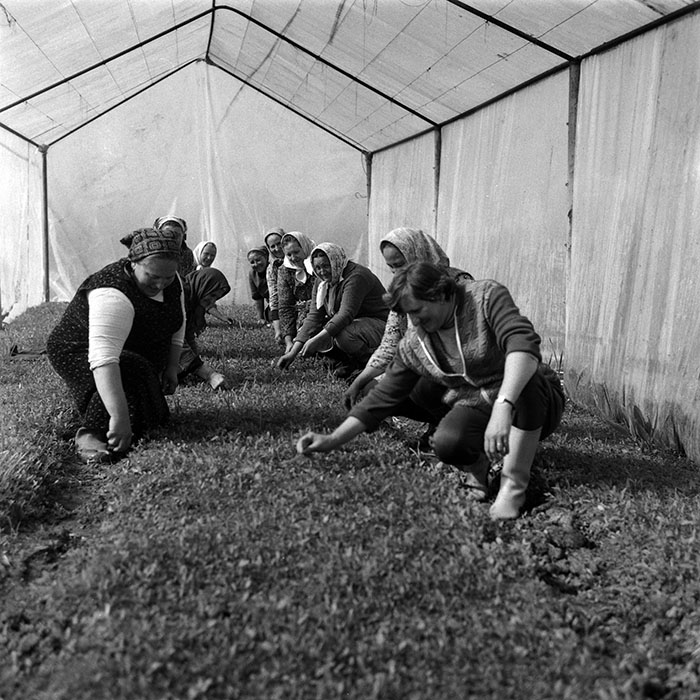 minerva_1988_agrar_c1r2_002