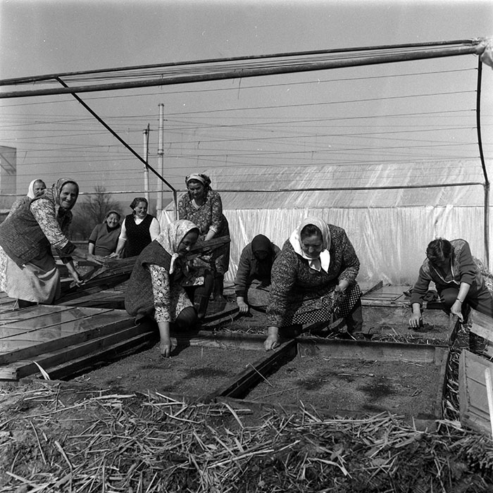 minerva_1988_agrar_c1r2_003