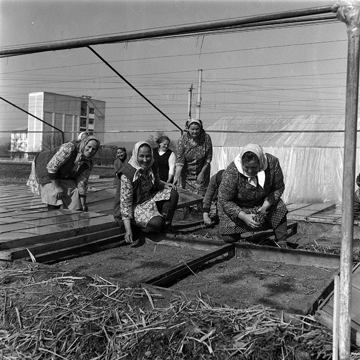 minerva_1988_agrar_c1r2_004