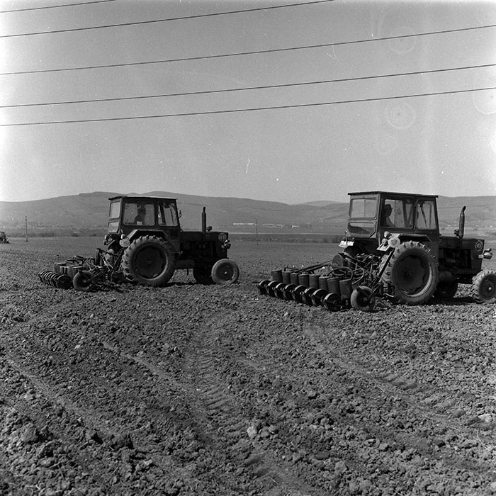 minerva_1988_agrar_c1r2_009