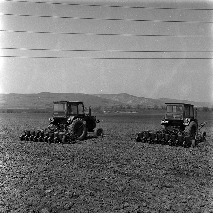 minerva_1988_agrar_c1r2_011