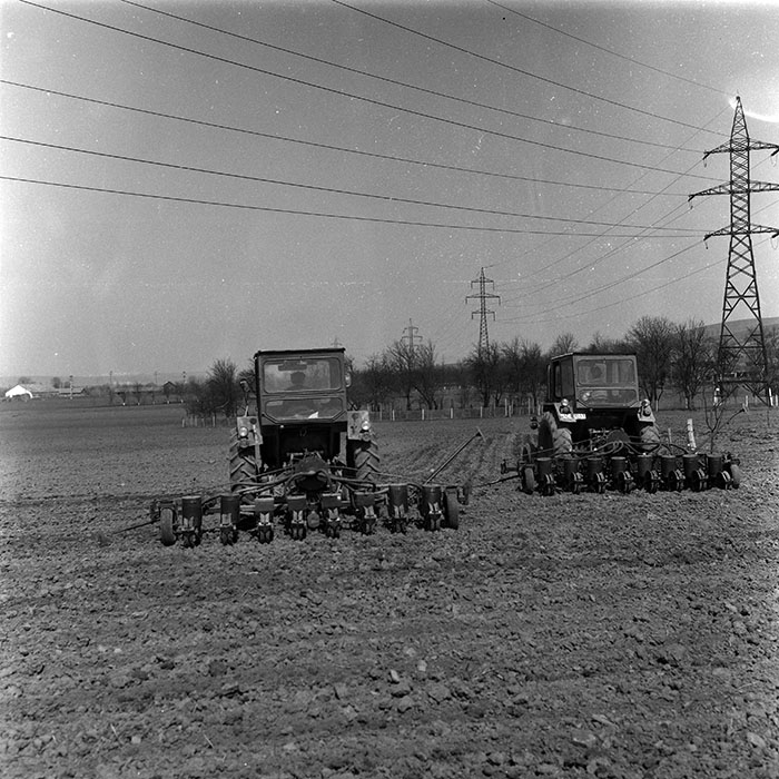 minerva_1988_agrar_c1r2_012