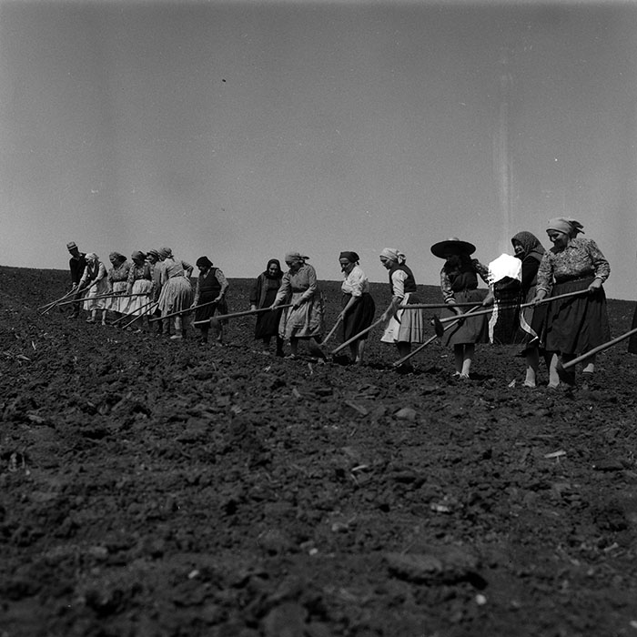 minerva_1988_agrar_c1r3_002