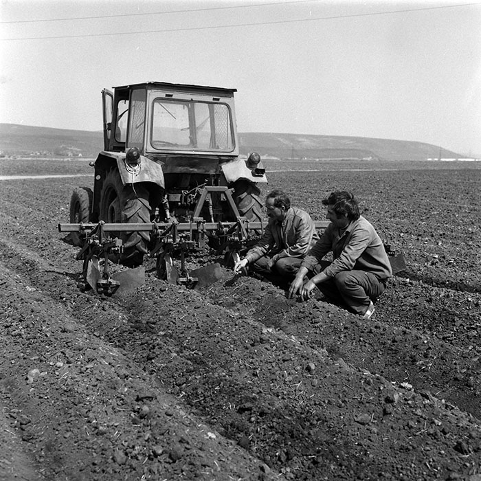 minerva_1988_agrar_c1r3_007