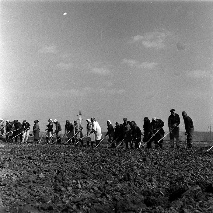 minerva_1988_agrar_c1r3_020