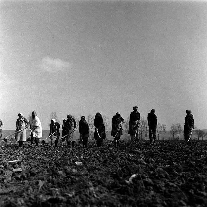 minerva_1988_agrar_c1r3_023