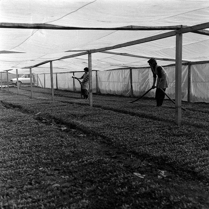 minerva_1988_agrar_c1r3_024