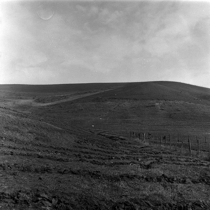 minerva_1988_agrar_c1r4_002