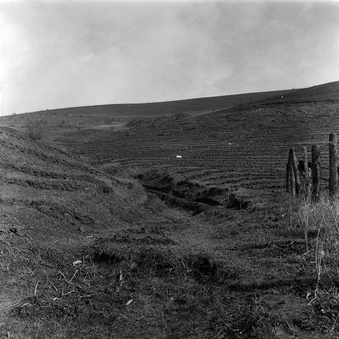 minerva_1988_agrar_c1r4_003