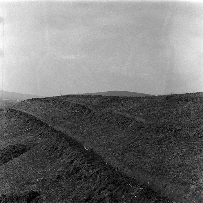 minerva_1988_agrar_c1r4_004