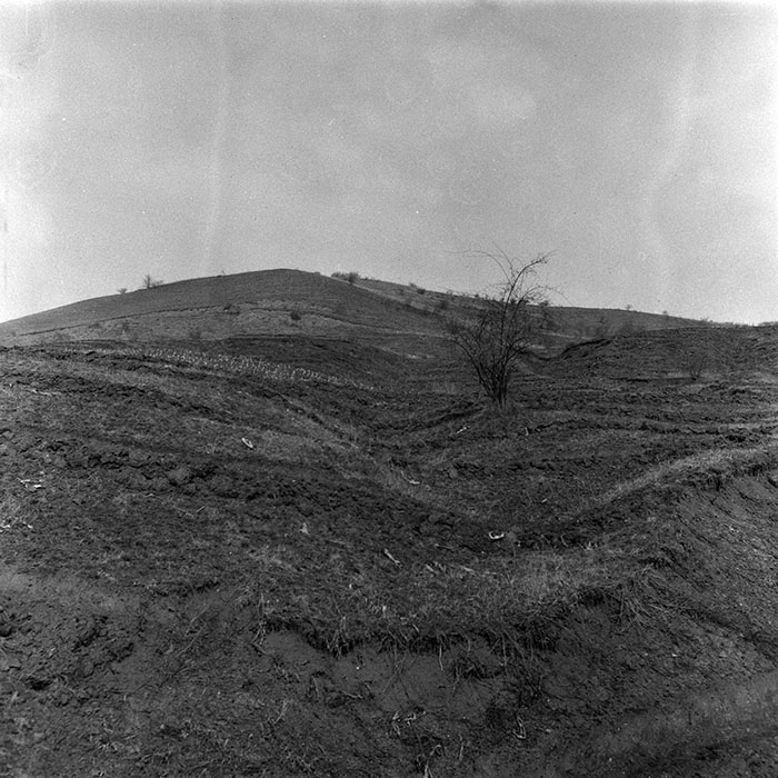 minerva_1988_agrar_c1r4_005