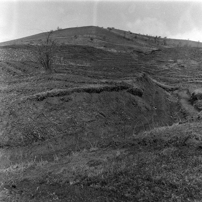 minerva_1988_agrar_c1r4_007