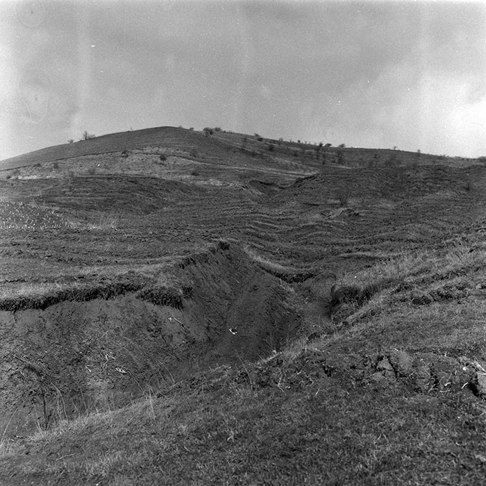 minerva_1988_agrar_c1r4_008