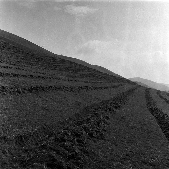 minerva_1988_agrar_c1r4_009