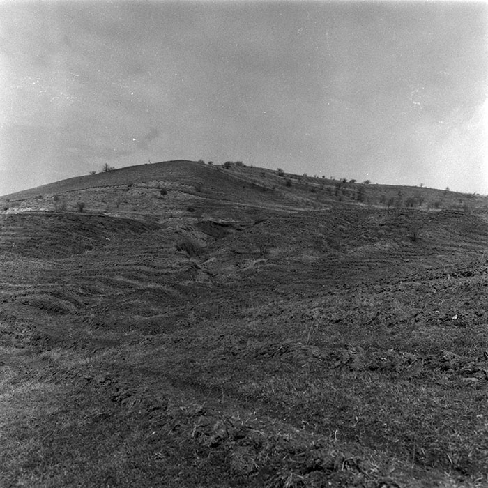 minerva_1988_agrar_c1r4_010