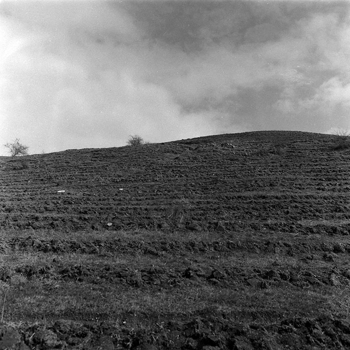 minerva_1988_agrar_c1r4_011