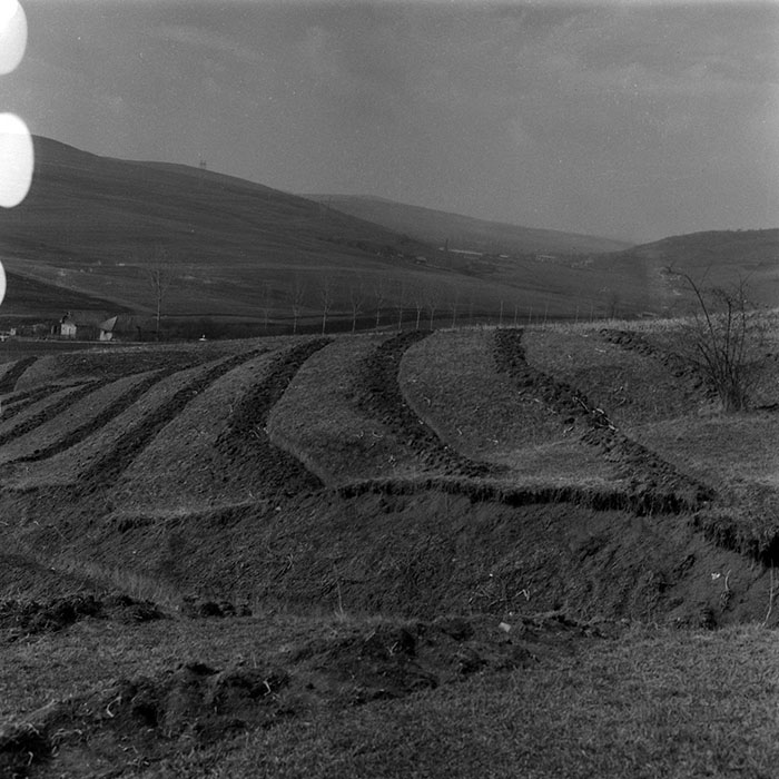 minerva_1988_agrar_c1r4_012