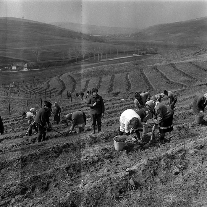 minerva_1988_agrar_c1r4_013