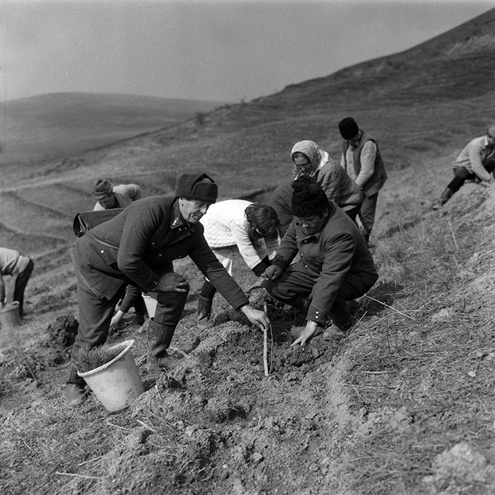 minerva_1988_agrar_c1r4_016