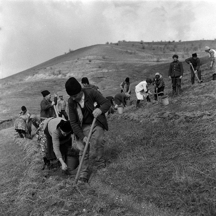 minerva_1988_agrar_c1r4_017