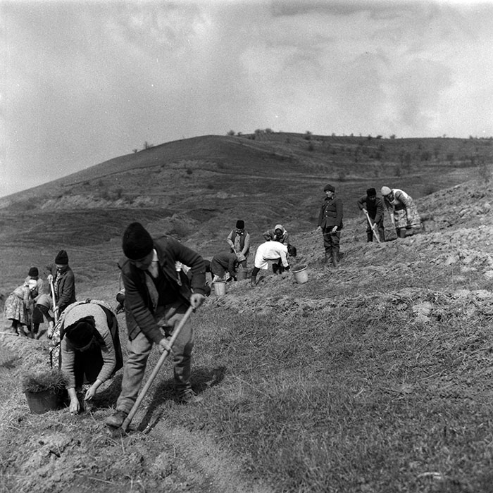 minerva_1988_agrar_c1r4_018