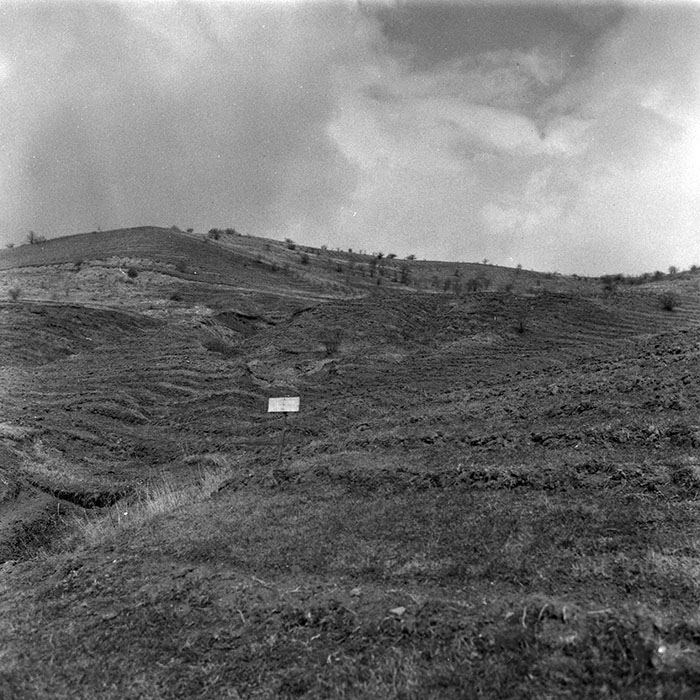 minerva_1988_agrar_c1r4_020