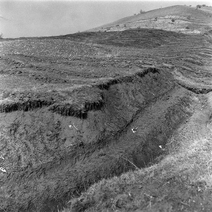 minerva_1988_agrar_c1r4_021