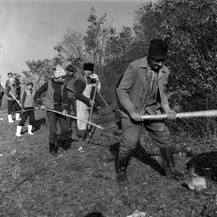 minerva_1988_agrar_c1r5_001