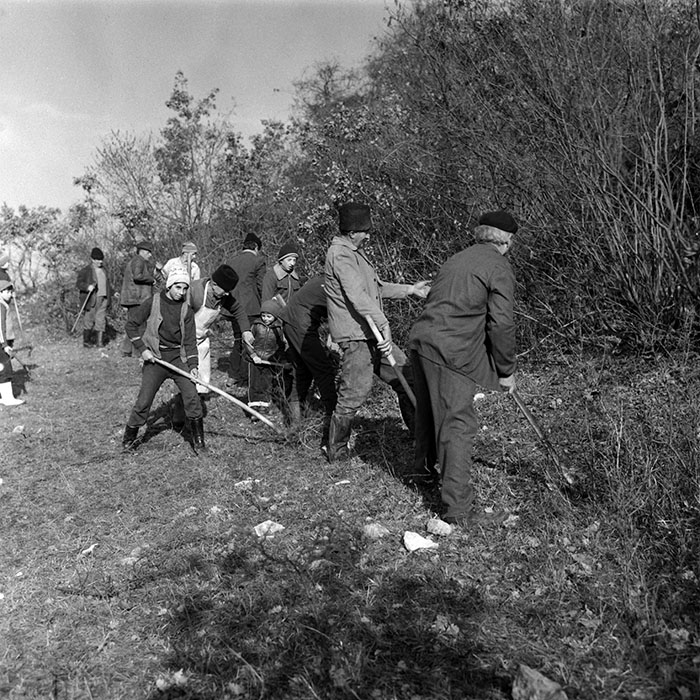 minerva_1988_agrar_c1r5_002